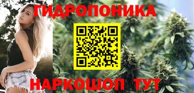 каннабис Берёзовский