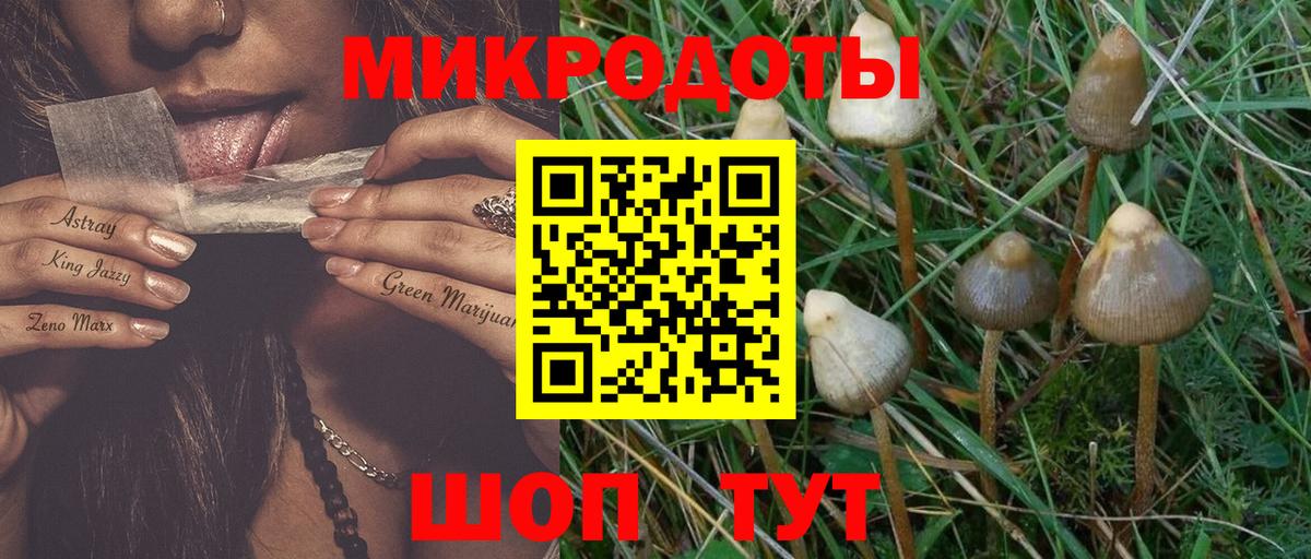Псилоцибиновые грибы MAGIC MUSHROOMS Ржев